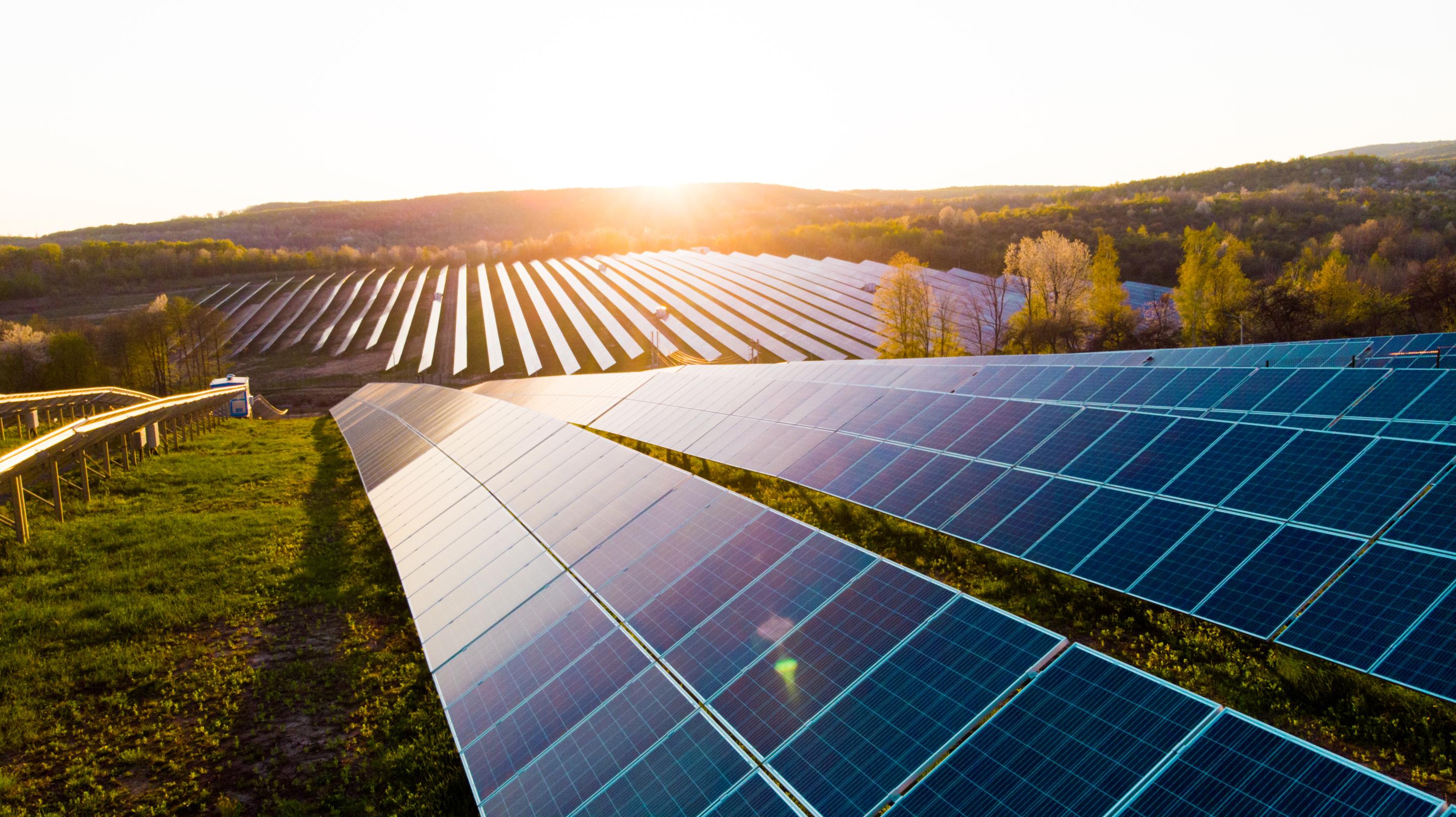 Hundreds of solar panels in a large green space in the sunshine