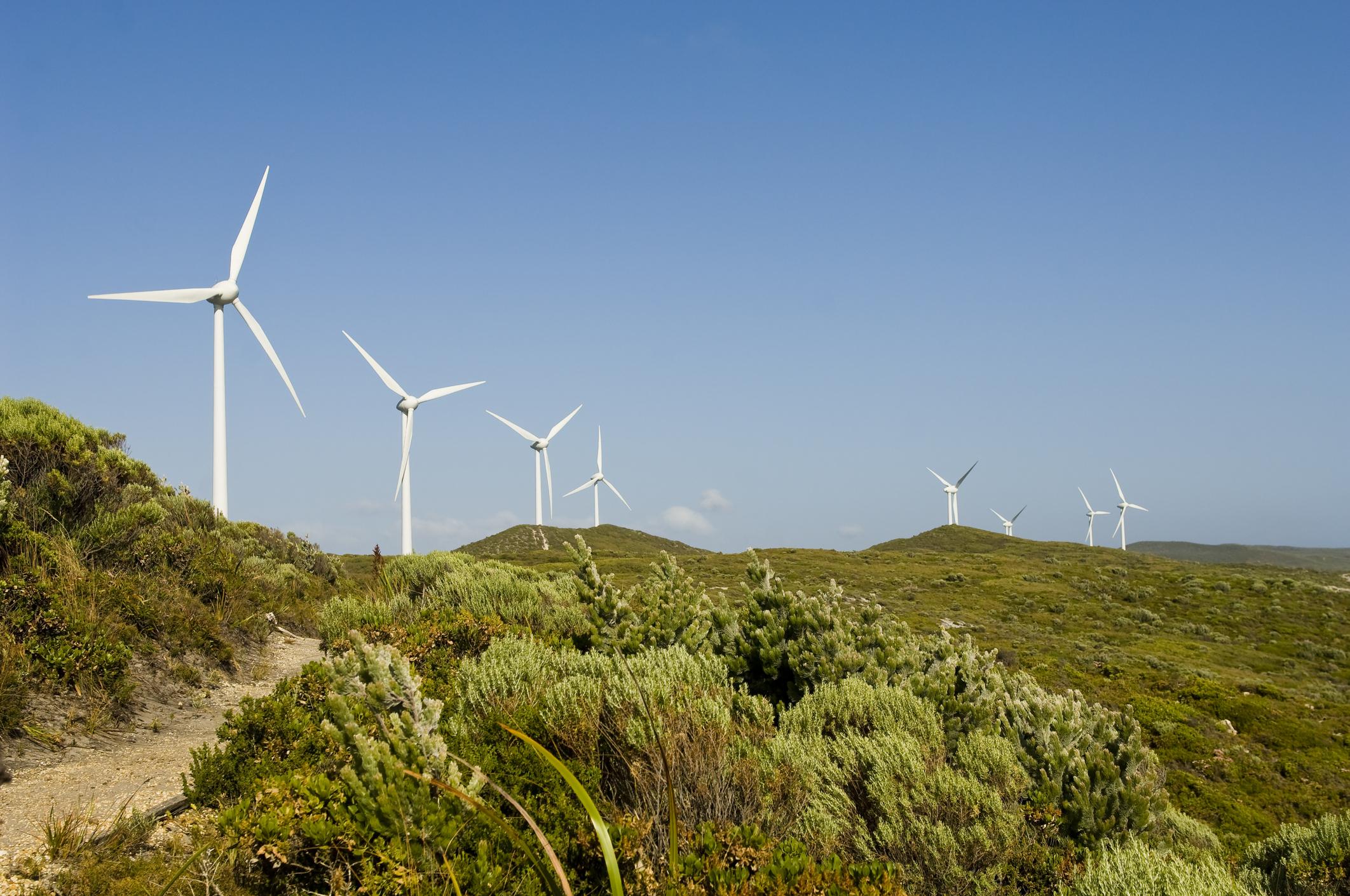 Windfarm